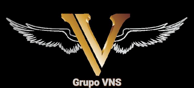 Grupo VNS Transportes